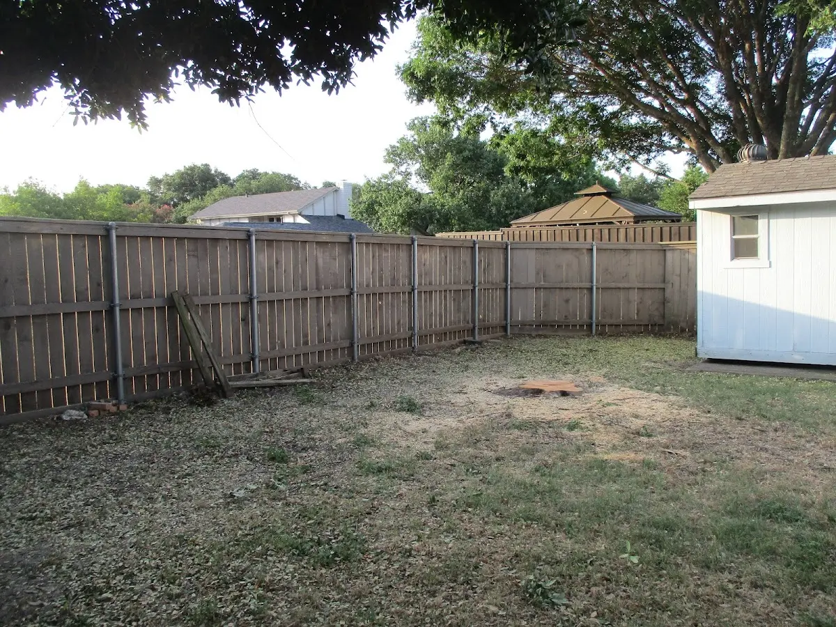 Cleared yard after professional tree removal in Kanorado