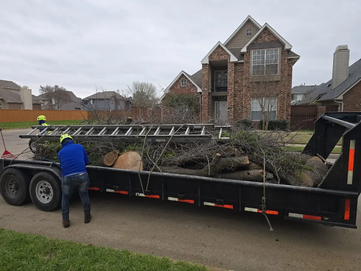Expert Tree Removal with proper safety equipment in Kanorado